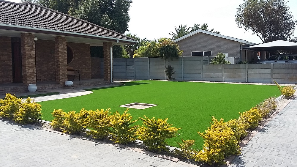 tidy turf